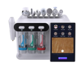 HydraLab Pro AI 9w1 – Inteligentny system pielęgnacji skóry + analiza AI
